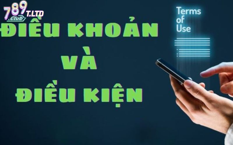 Thực hiện điều khoản và điều kiện khi cá cược